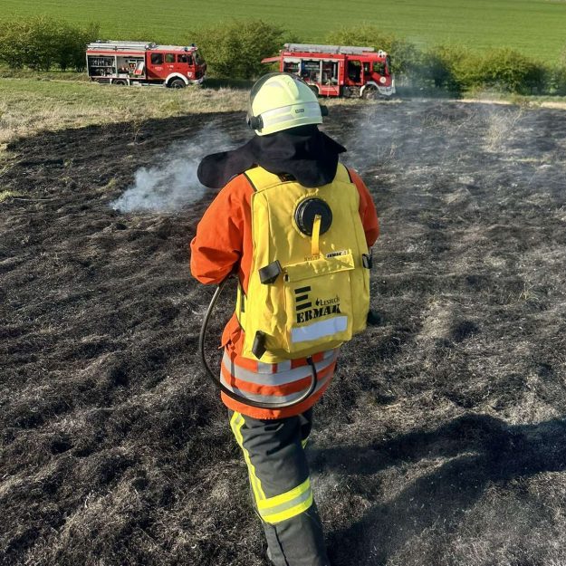 491416838_977776171187567_6590391841900968825_n