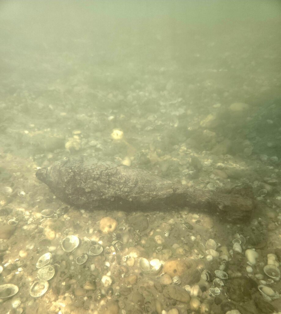 Robbanószerek őrzése hatástalanításig